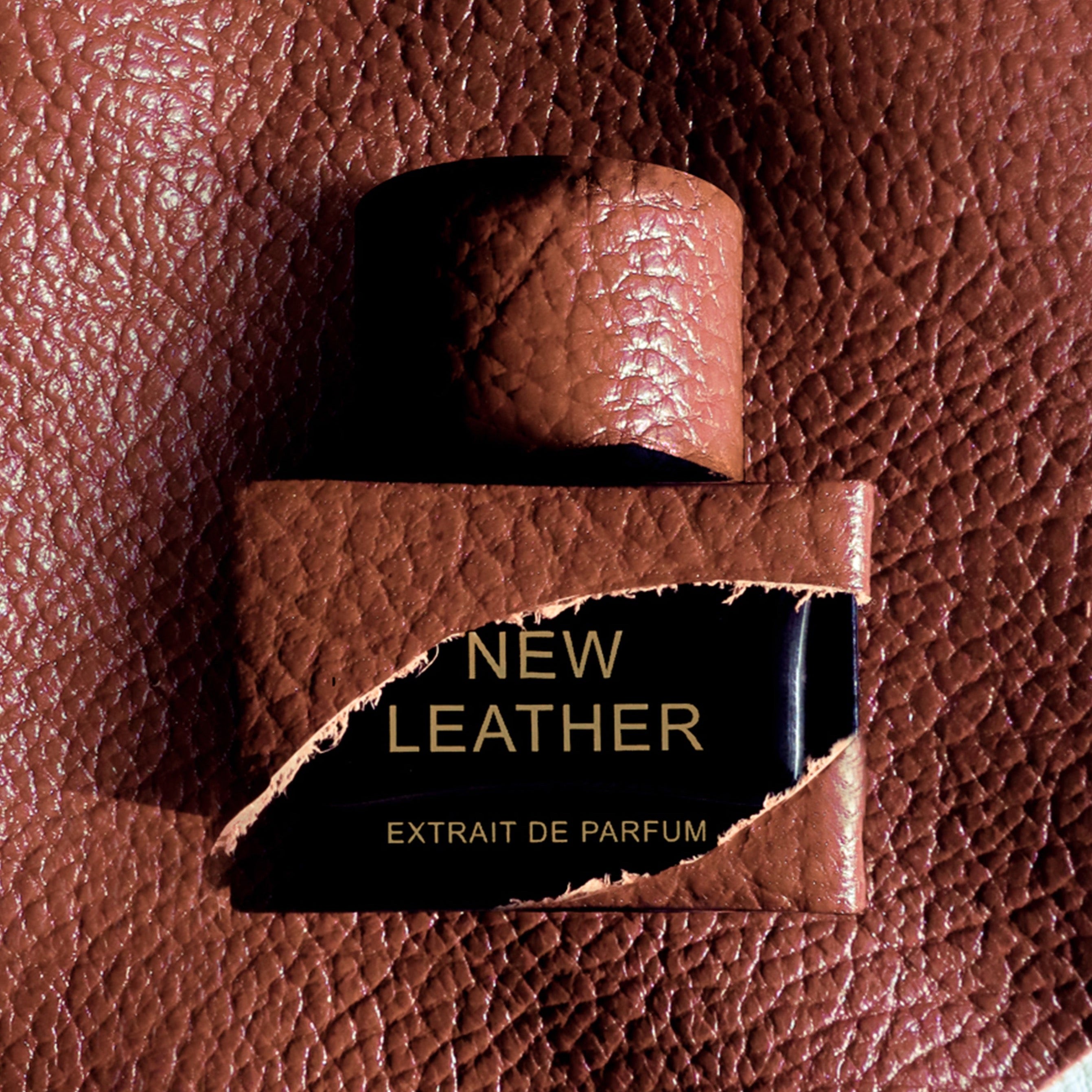 New Leather ExDP, New Notes, Black Collection