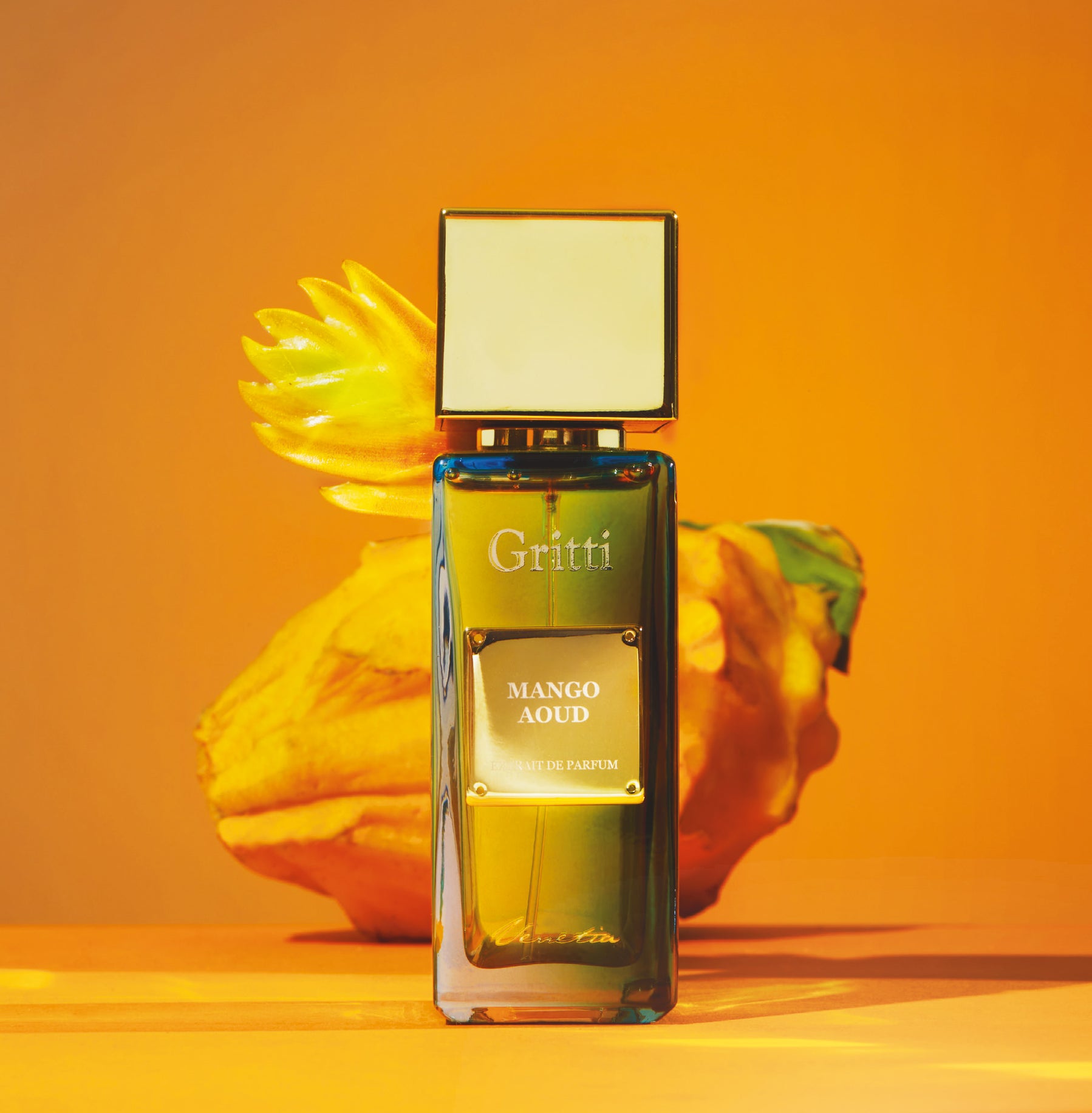 Mango-Aoud-Gritti-2024_a