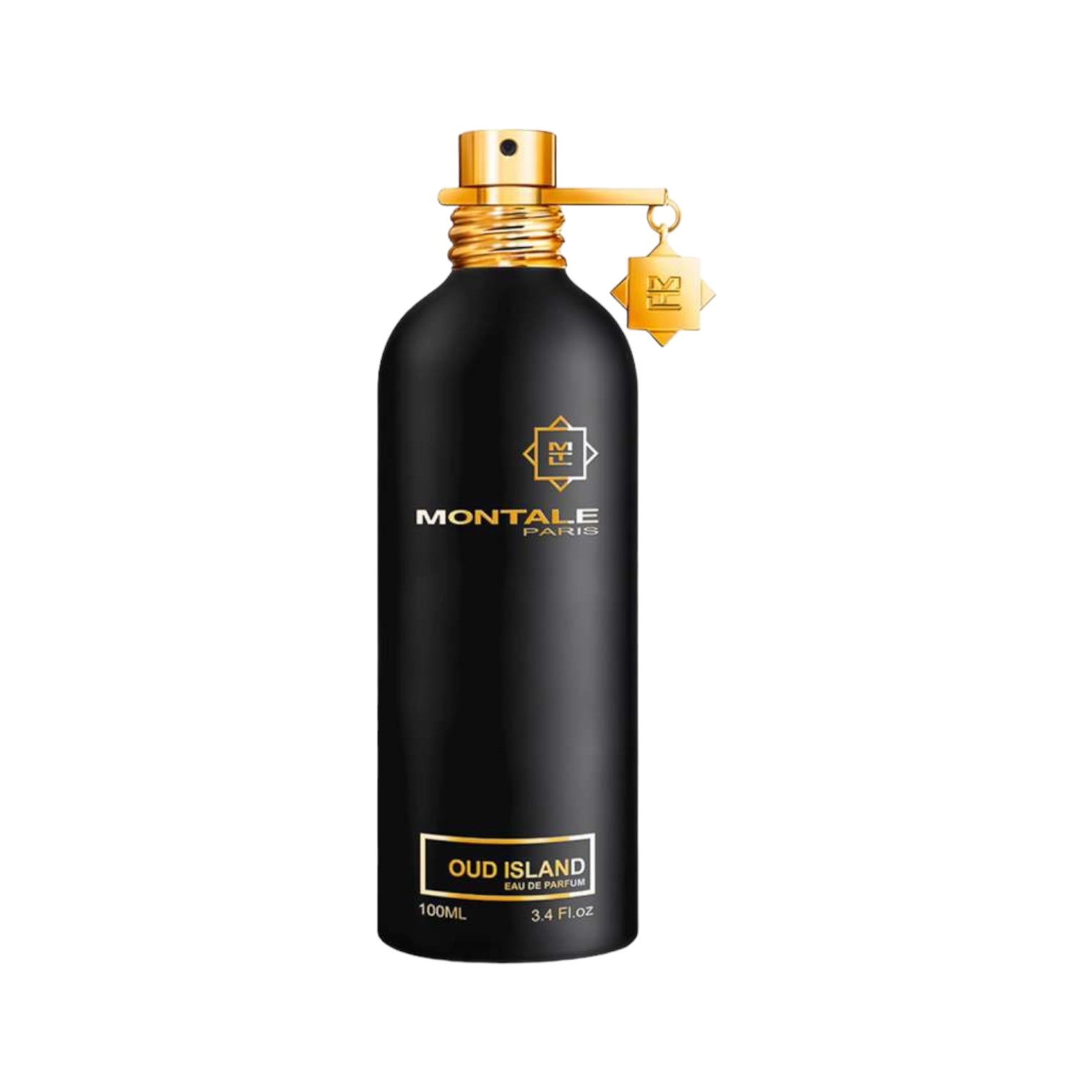 Oud Island von Montale – exklusives Nischenparfum mit Zitrus, Oud, Leder und Amber. 100 ml Flakon in halbglänzendem Schwarz mit goldenen Details.Jetzt erhältlich bei 4D OUTFITTERS