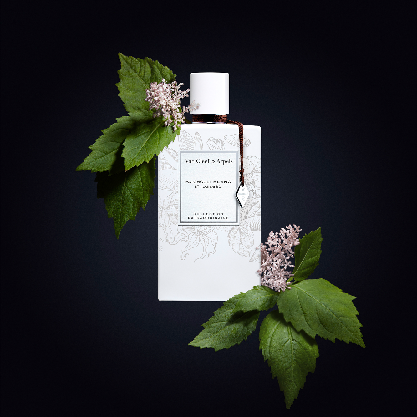 van_cleef_arpels_collection_extraordinaire_patchouli_blanc_edp_visual_7